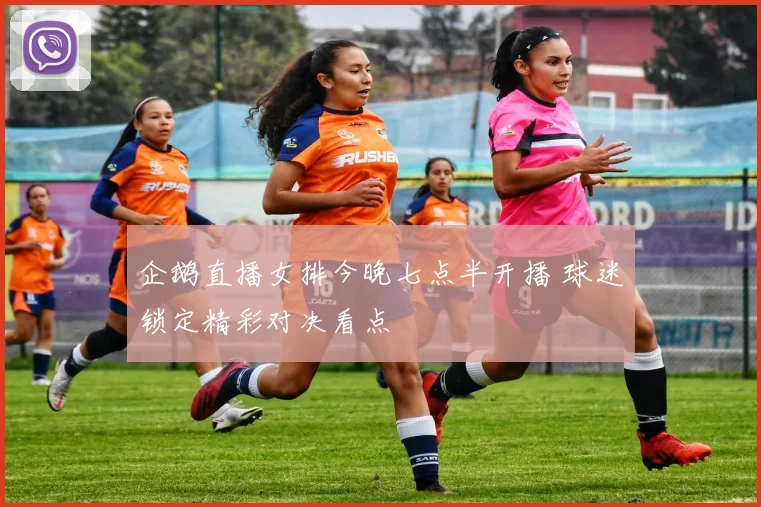 企鹅直播女排今晚七点半开播 球迷锁定精彩对决看点